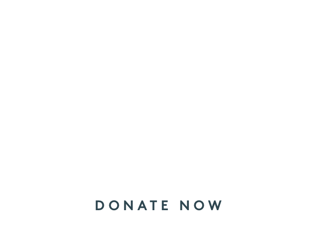 Save the Children Ukraine Crisis Relief Fund
